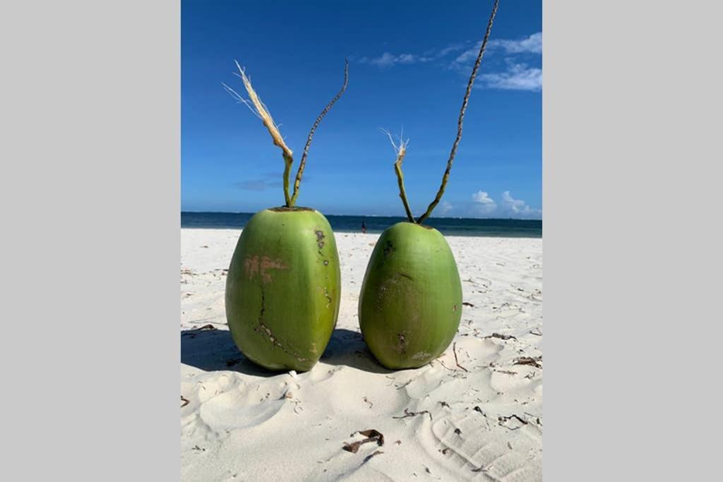 Mombasa Vacations Beach Studio B11 Kültér fotó